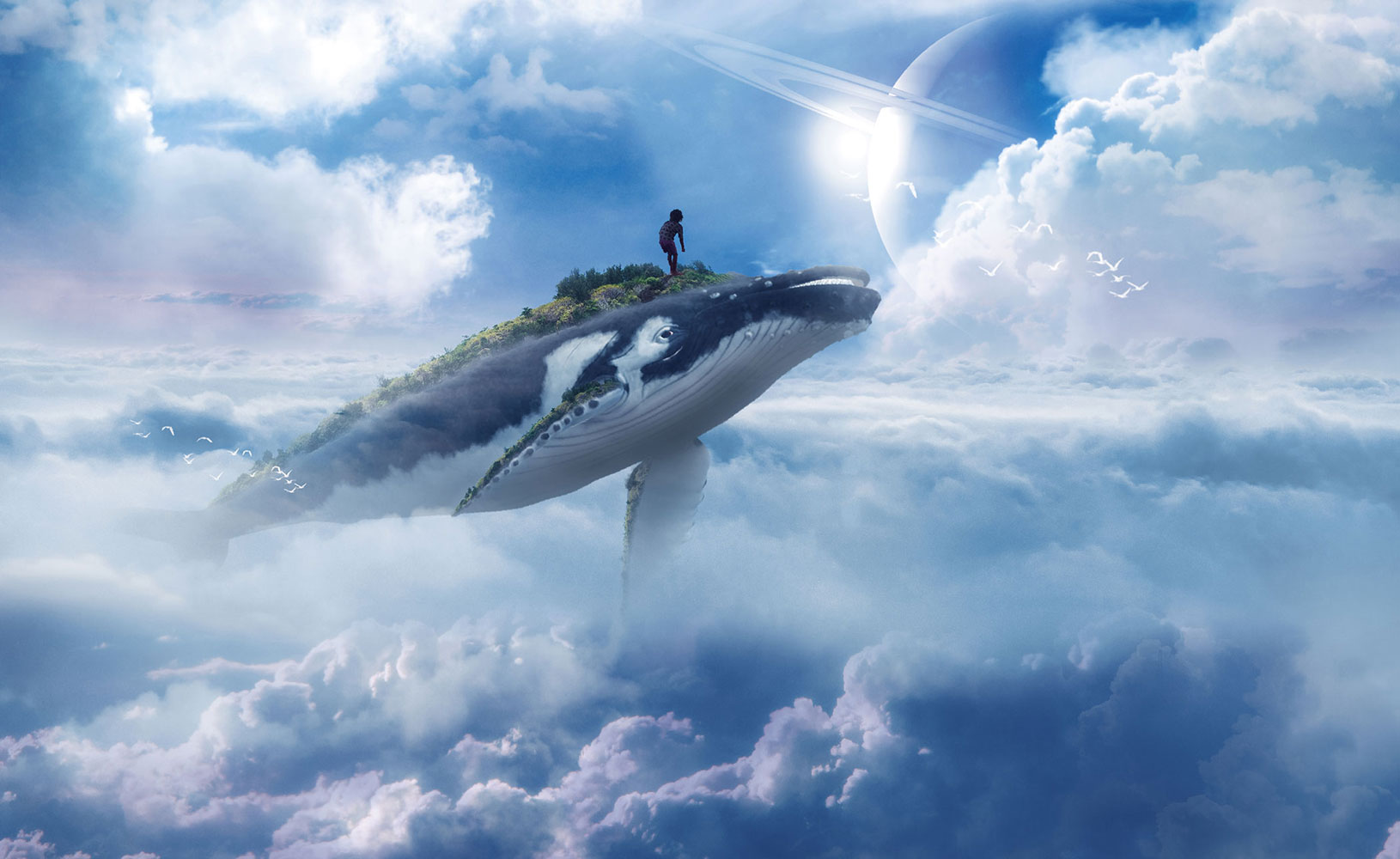 AM-SE-008—Flying-whale – Artsymouse